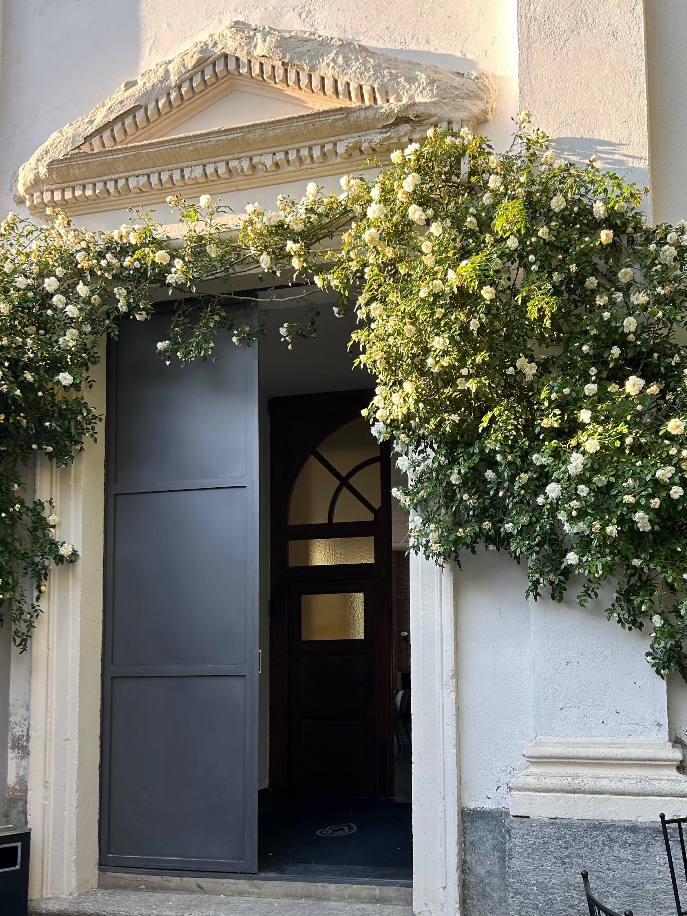 BALMA vista sugli esterni 2