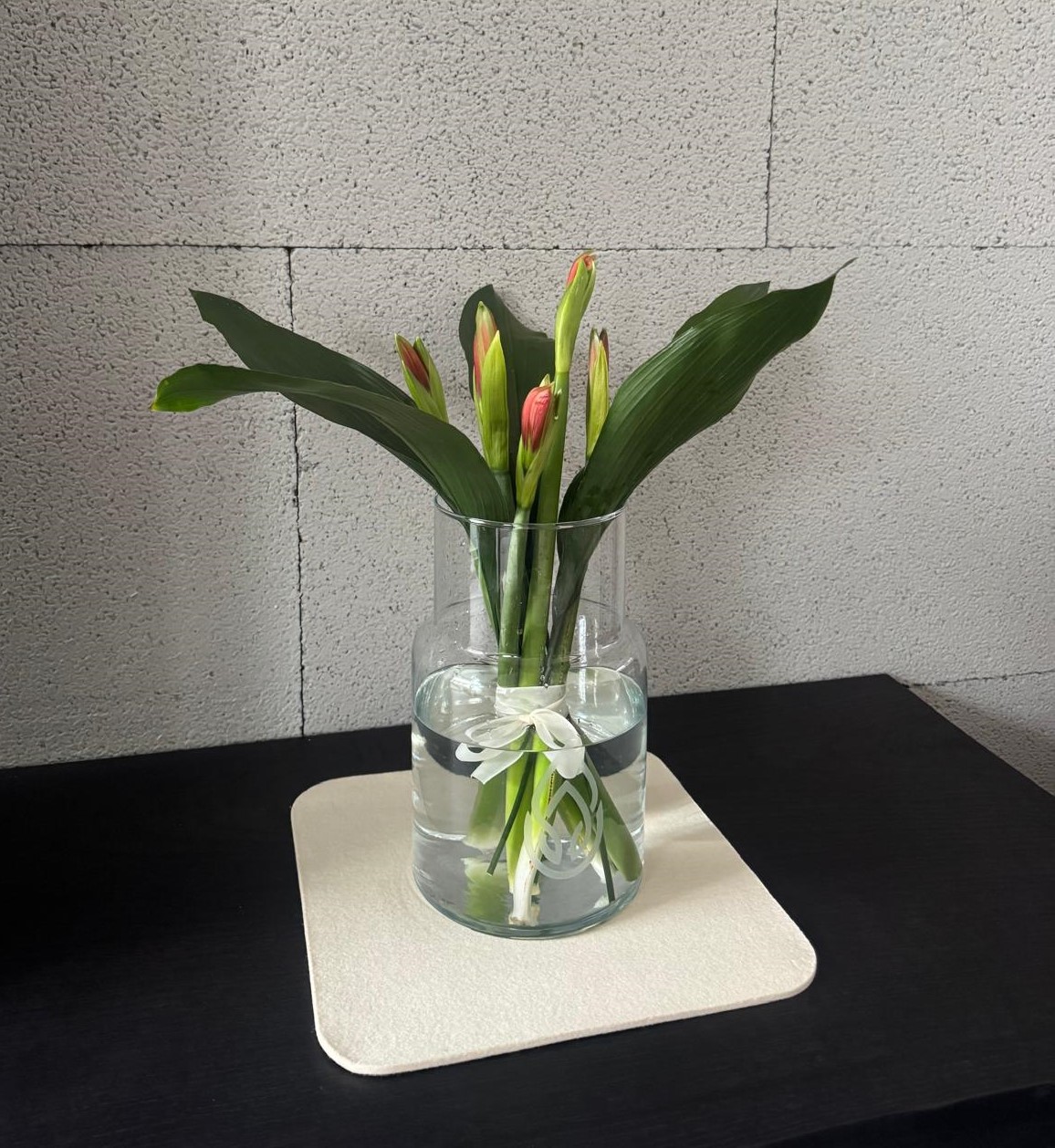 BALMA vista sugli interni 8